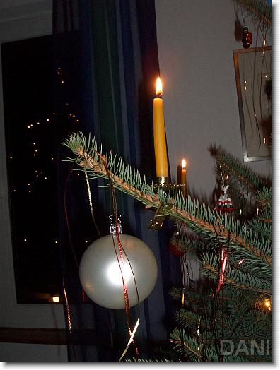 N&auml;chstes Bild