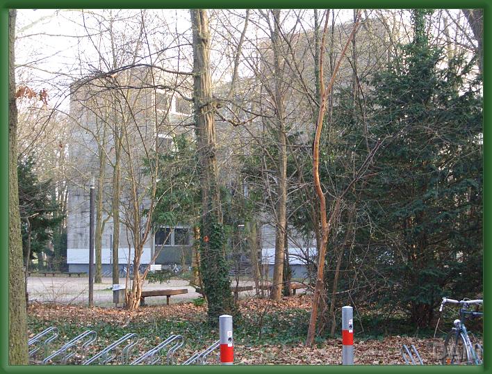 N&auml;chstes Bild