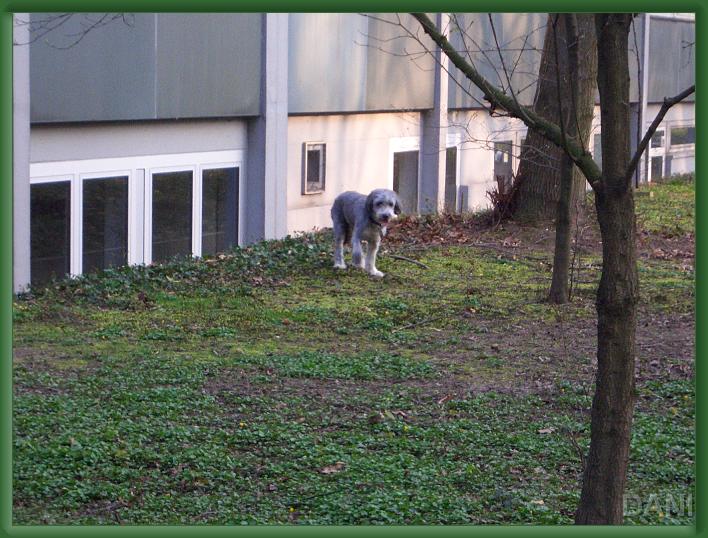 N&auml;chstes Bild