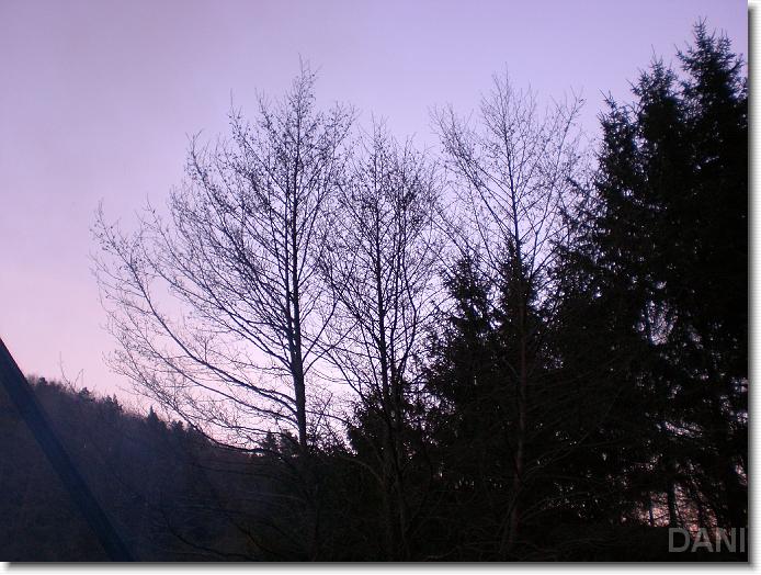 N&auml;chstes Bild
