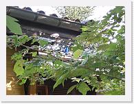 CIMG0764 * 3072 x 2304 * (2.29MB)