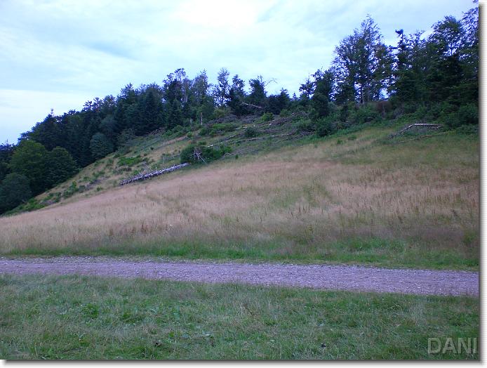 N&auml;chstes Bild