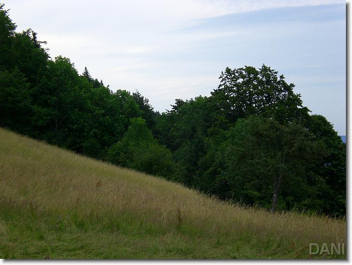 N&auml;chstes Bild