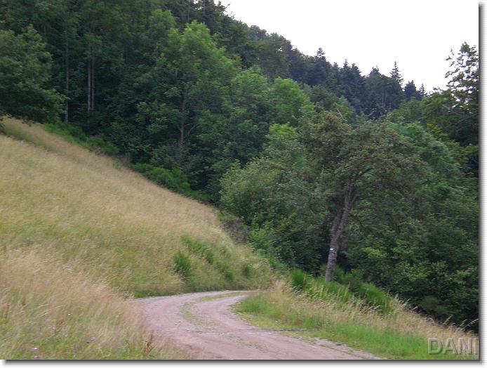 N&auml;chstes Bild