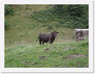 CIMG7220 * 3072 x 2304 * (2.31MB)