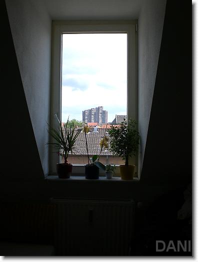 N&auml;chstes Bild