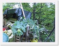CIMG0631 * 3072 x 2304 * (2.32MB)